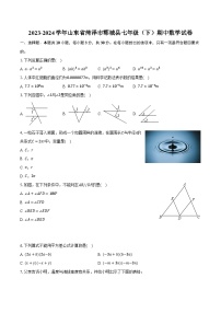 2023-2024学年山东省菏泽市郓城县七年级（下）期中数学试卷（含解析）