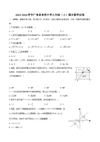2023-2024学年广东省东莞中学九年级（上）期末数学试卷（含解析）