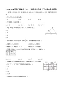 2023-2024学年广西南宁三中、三美学校八年级（下）期中数学试卷（含解析）