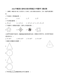 2024年黑龙江省哈尔滨市阿城区中考数学二模试卷（含解析）