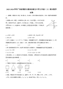 2023-2024学年广东省揭阳市惠来县部分中学九年级（上）期末数学试卷（含解析）