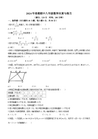河南省南阳市内乡县2023-2024学年八年级下学期期中数学试题（含答案）