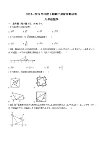 河南省信阳市罗山县2023-2024学年八年级下学期期中数学试题（含答案）