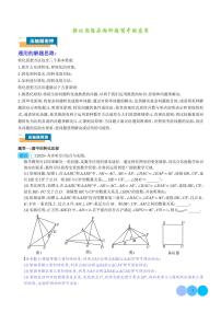 转化思想在两种题型中的应用-2024年中考数学压轴题专项训练