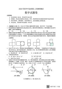 2024年河南省南阳市中考二模数学试题