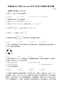 河南省新乡市卫辉市2023-2024学年七年级下学期期中数学试题