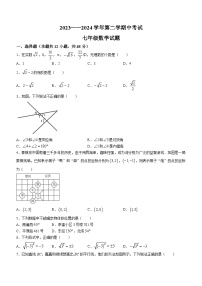 山东省德州市齐河县2023-2024学年七年级下学期期中数学试题