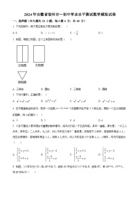 2024年安徽省宿城第一中学中考模拟数学试题（原卷版+解析版）