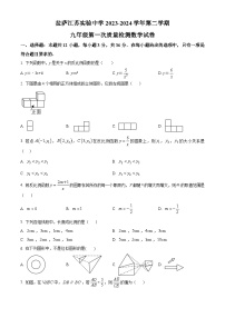2024年西藏自治区拉萨市城关区拉萨江苏实验中学中考一模数学试题（原卷版+解析版）