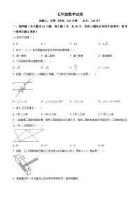 甘肃省金昌市金川区龙门学校2023-2024学年七年级下学期期中数学试题（原卷版+解析版）