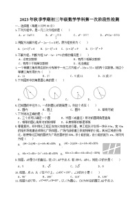 江苏省宿迁市泗阳县2023—2024学年上学期10月月考九年级数学试卷