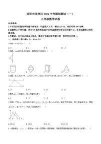 2024年河南省洛阳市洛龙区九年级第一次中考模拟考试数学试题