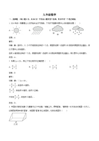 河南省驻马店市汝南县2024届九年级下学期中考一模数学试卷(含解析)