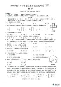 2024年广西防城港市中考数学二模试卷