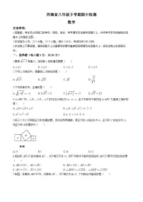 河南省许昌市鄢陵县2023-2024学年八年级下学期期中数学试题