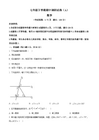 河南省安阳市林州市2023-2024学年七年级下学期期中数学试题（原卷版+解析版）