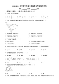 四川省自贡市荣县留佳初级中学校2023-2024学年七年级下学期期中数学试题（原卷版+解析版）