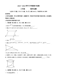 云南省昆明市西山区师专附中昆外校2023-2024学年八年级下学期5月期中考试数学试题