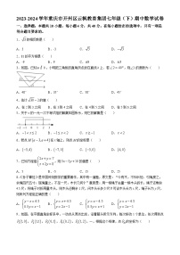 重庆市开州区云枫教育集团2023-2024学年七年级下学期期中数学试题