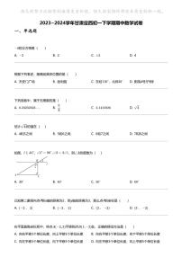 2023_2024学年甘肃定西初一下学期期中数学试卷