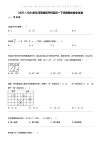 2023_2024学年河南信阳平桥区初一下学期期中数学试卷