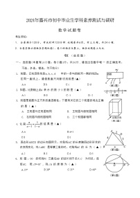 2024年浙江省嘉兴市九年级学科素养测试与调研数学试卷