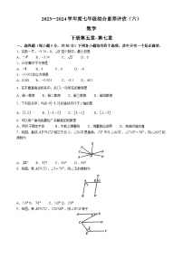 河南省新乡市获嘉县乡镇学校联考2023-2024学年七年级下学期4月期中数学试题