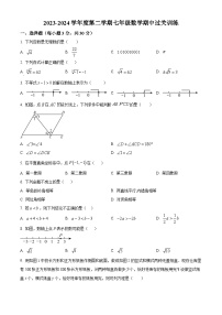 广东省东莞市东华初级中学2023-2024学年七年级下学期期中数学试题（原卷版+解析版）