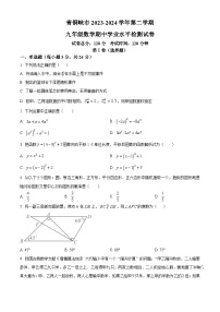 宁夏回族自治区吴忠市青铜峡市2023-2024学年九年级下学期期中数学试题（原卷版+解析版）