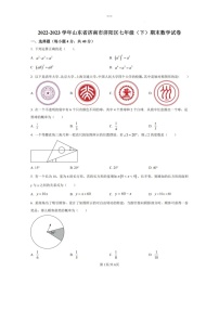 2023.7济南市济阳县七年级下数学期末试卷（无答案）