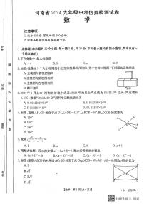 2024年河南省漯河市召陵区中考二模数学试题