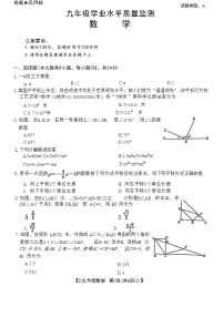 2024年陕西省韩城市九年级学业水平质量检测数学试题