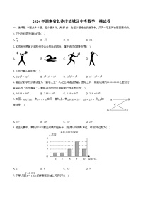 湖南省长沙市望城区2024届九年级下学期中考一模数学试卷(含解析)