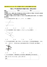 北师大版七年级数学下册专题2.3平行线的性质专项提升训练(重难点培优)(原卷版+解析)