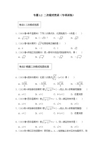 浙教版八年级数学下册专题1.2二次根式性质(专项训练)(原卷版+解析)