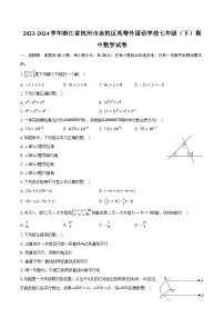 2023-2024学年浙江省杭州市余杭区英特外国语学校七年级（下）期中数学试卷（含解析）