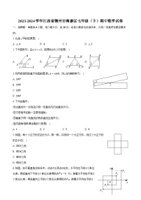 2023-2024学年江西省赣州市南康区七年级（下）期中数学试卷（含解析）