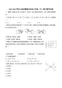 2023-2024学年山东省聊城市莘县七年级（下）期中数学试卷（含解析）