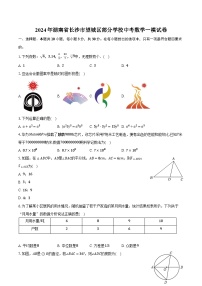 2024年湖南省长沙市望城区部分学校中考数学一模试卷（含解析）
