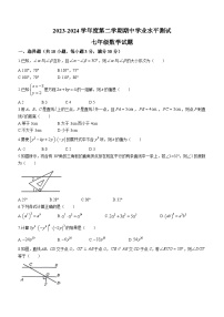 山东省菏泽市巨野县2023-2024学年七年级下学期期中数学试题(无答案)