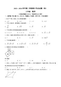 甘肃省平凉市庄浪县2023-2024学年八年级下学期期中数学试题(无答案)