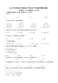 2024年西藏自治区日喀则市白朗县中考一模数学试题(含答案)