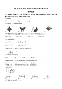 2024年西藏自治区日喀则市昂仁县中考一模数学试题（含答案）