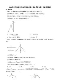 2024年中考数学考前20天终极冲刺专题之尺规作图(一)练习附解析