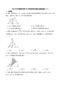 2024年中考数学考前20天终极冲刺专题之线段最值（一）练习附解析