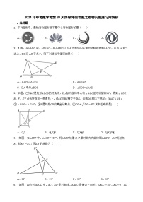 2024年中考数学考前20天终极冲刺专题之旋转问题练习附解析