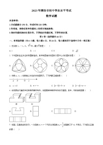 2023年山东省潍坊市中考数学真题（原卷版）