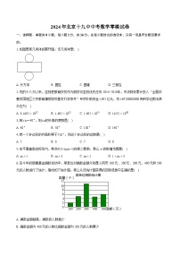 2024年北京十九中中考数学零模试卷（含详细答案解析）