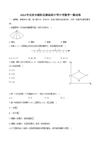 2024年北京市朝阳区陈经纶中学中考数学一模试卷（含详细答案解析）