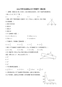2024年河北省唐山市中考数学一模试卷（含详细答案解析）